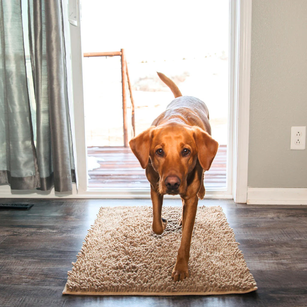 Praktische schoonloopmat voor honden bij de achterdeur tegen modder