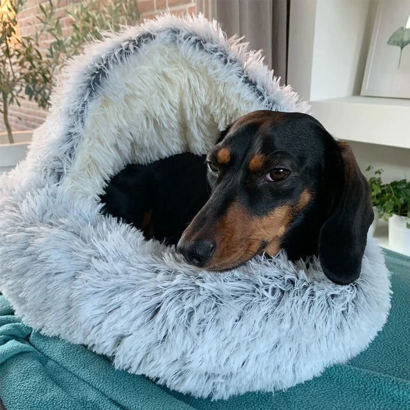 Hond die comfortabel rust in het pluche grottenbed