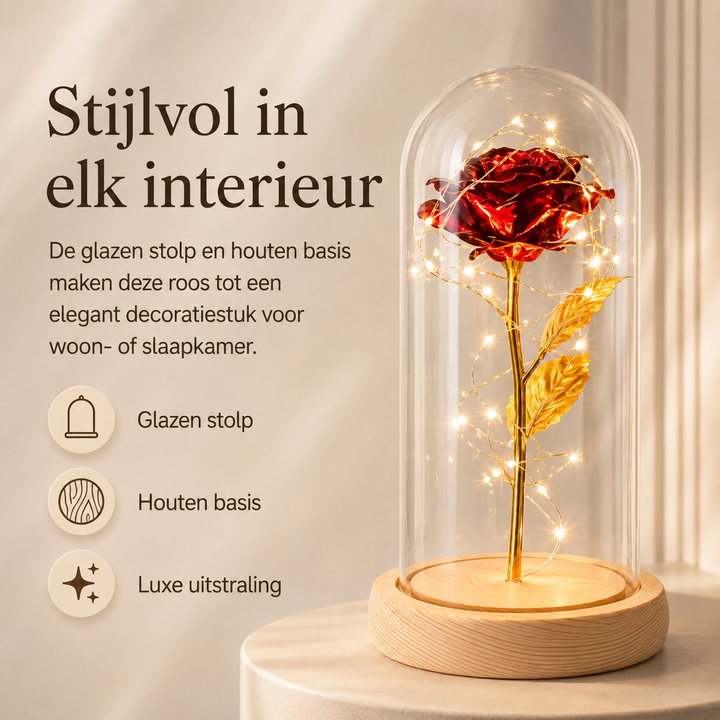 Stijlvolle glazen stolp met houten basis en rode roos