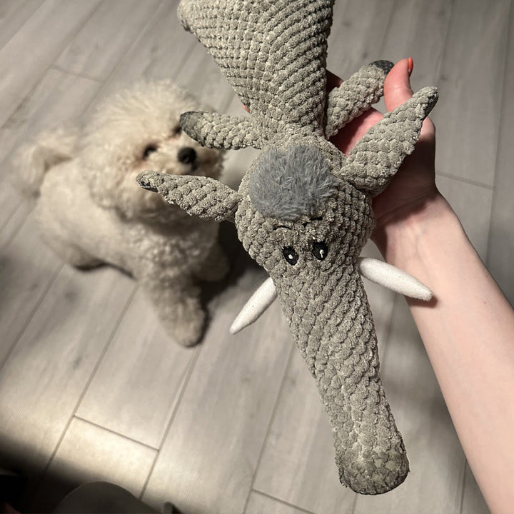 Sterk kauwspeelgoed, bevordert de mondhygiëne en voorkomt verveling bij honden.