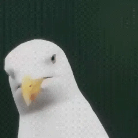 Monoculaire met HD lens voor haarscherp beeld, perfect voor vogelspotten en natuurobservatie.