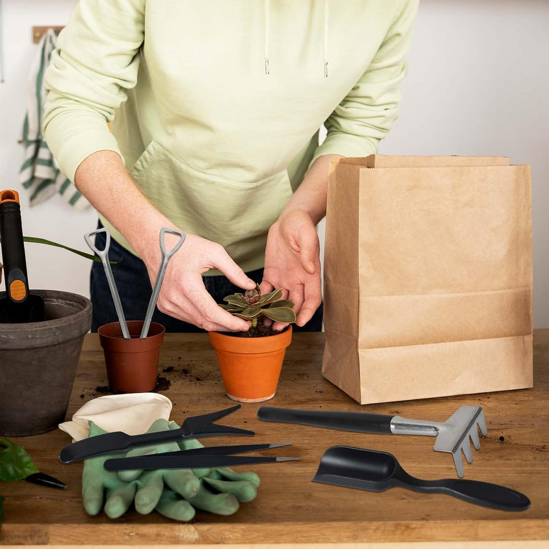 Perfect cadeau voor liefhebbers van vetplanten, cactussen of binnentuinieren. Complete tuinset voor elke plantenhobbyist.