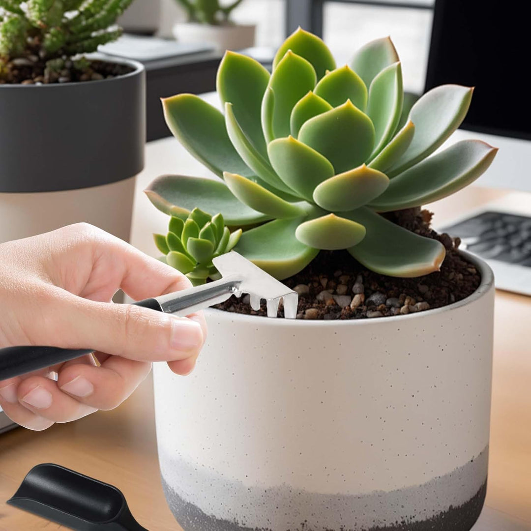 Handig tuingereedschap voor het verzorgen van vetplanten en kamerplanten. Essentieel voor een mooie binnentuin.