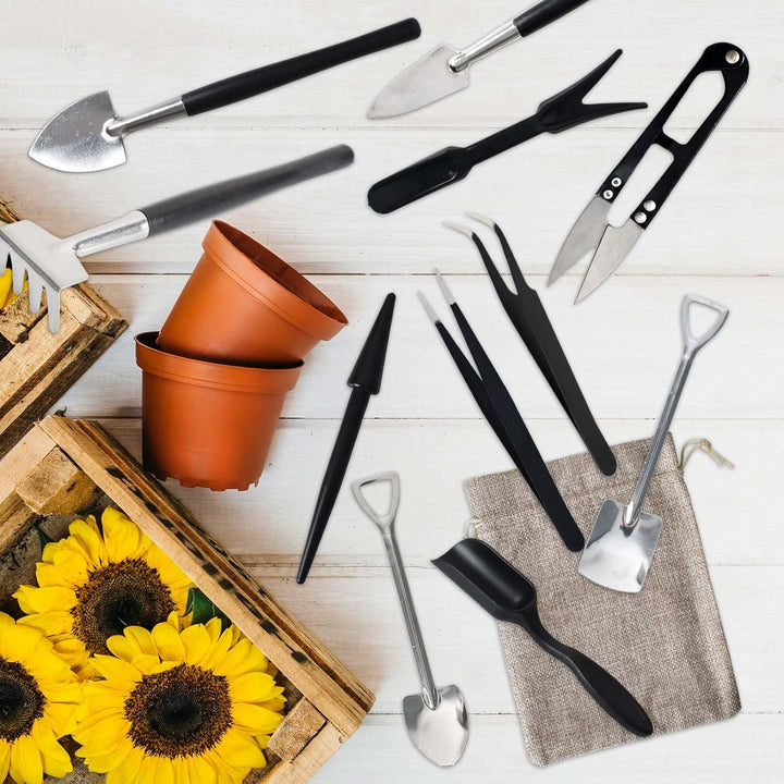 Compacte 12-in-1 tuingereedschapset voor vetplanten en cactussen. Perfect voor minituinen en delicate plantenverzorging.