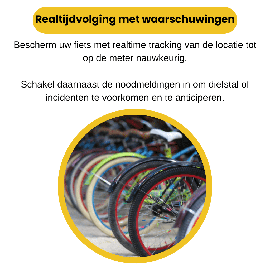Overzichtelijke weergave van rijen geparkeerde fietsen