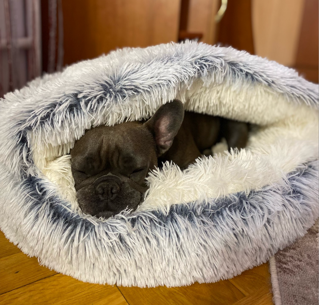 Zacht lichtbeige grottenbed voor honden, ontworpen als angstremmend orthopedisch bed