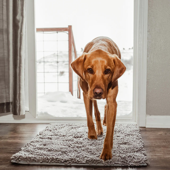 Hond loopt over de grijze CleanPaw deurmat bij de tuindeur