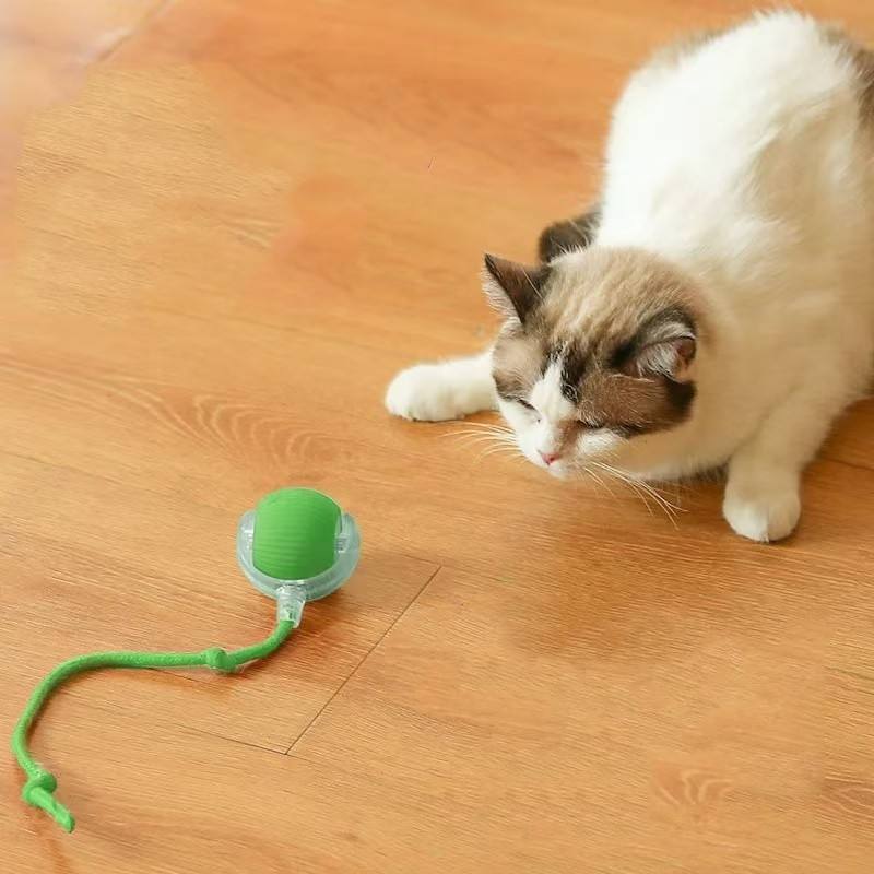 Interactief Kattenspeelgoed voor Actieve en Blijde Katten