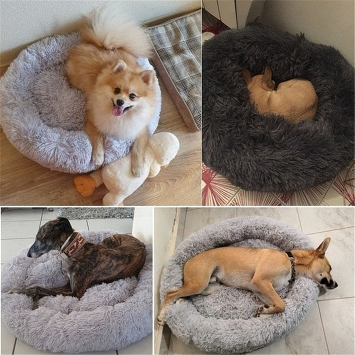 Verschillende honden in pluche donut manden in diverse kleuren