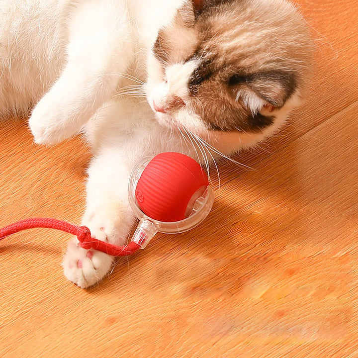 Interactief Kattenspeelgoed voor Actieve en Blijde Katten