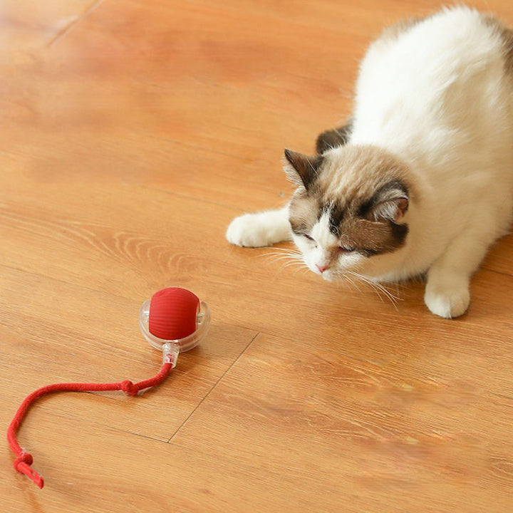 Interactief Kattenspeelgoed voor Actieve en Blijde Katten