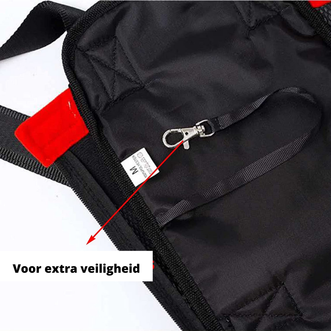 Praktische honden rugzak draagzak voor huisdier, perfect voor wandelingen en buitenleven. Comfortabel.