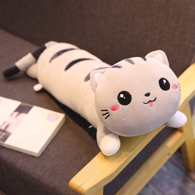 Vrolijk kattenkussen als woondecoratie