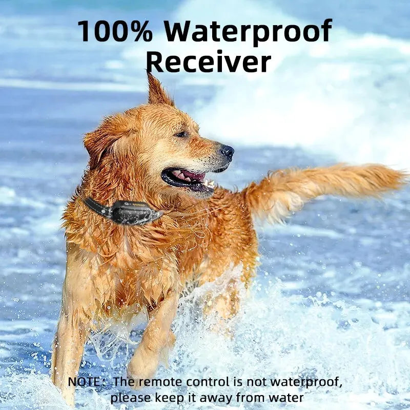 ProTrain waterdichte trainingshalsband voor honden; essentieel hulpmiddel voor gedragscorrectie & gehoorzaamheid.