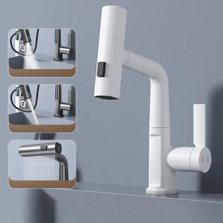 Energiezuinige AquaPrestige kraan met uittrekbare sproeier, temperatuurdisplay en modern design.
