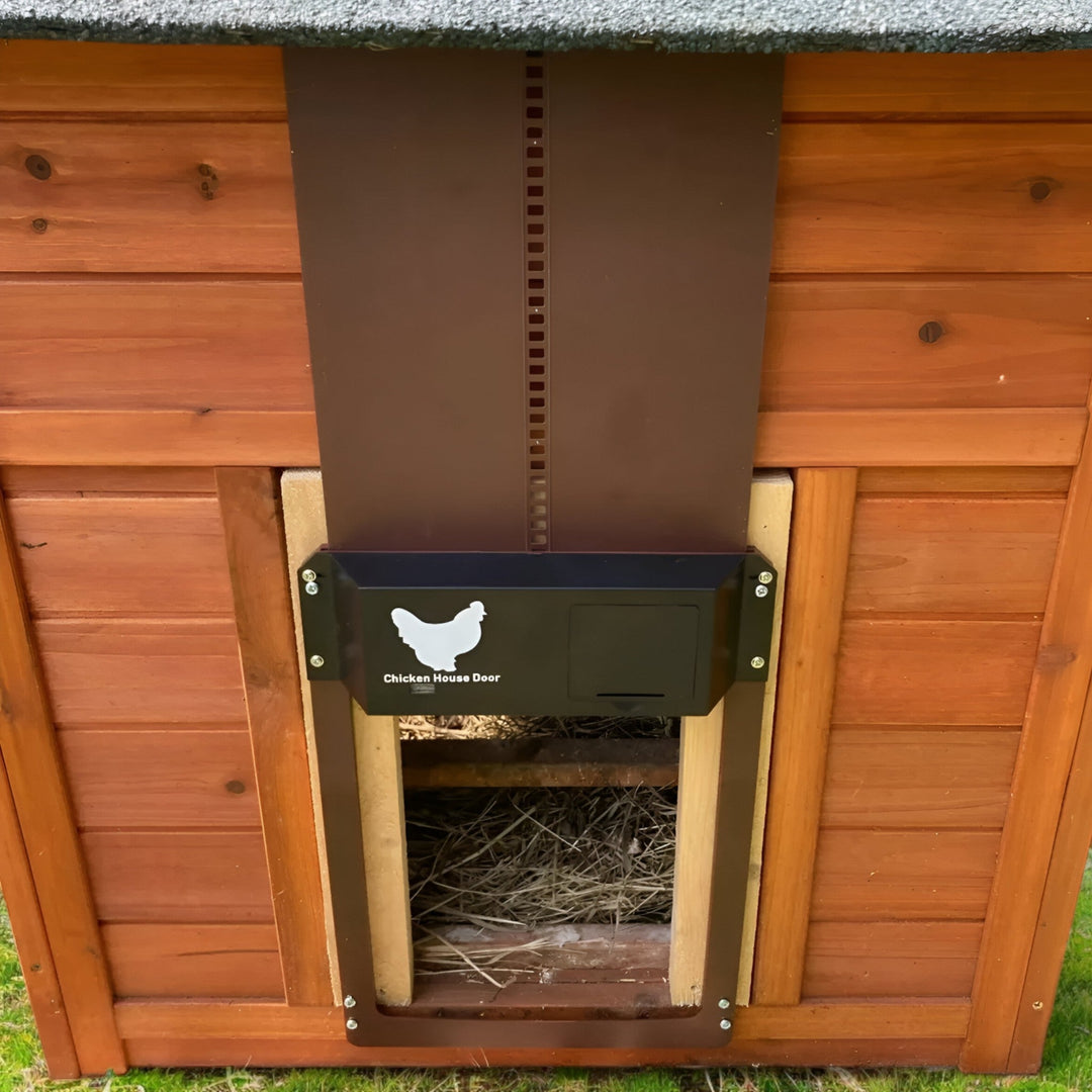 Sterk automatisch kippenluik, beschermt kippen tegen roofdieren en slecht weer.