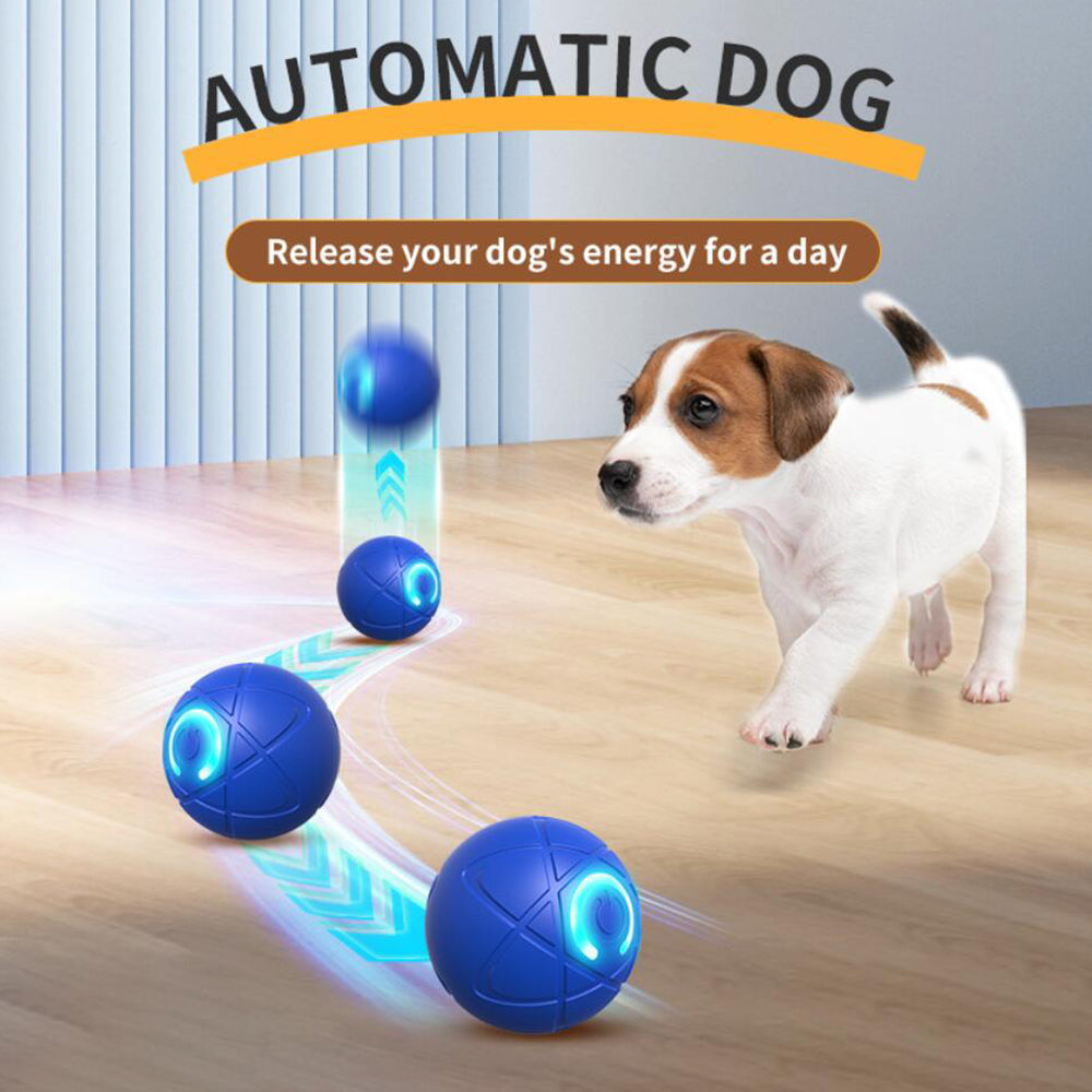 Kattenspeelgoed: interactieve, automatisch bewegende en springende speelbal met LED voor stimulatie.