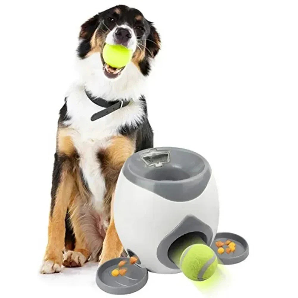 Compacte automatische ballenwerper, interactief hondenspeelgoed; stimuleert spel en vermaak van huisdieren.