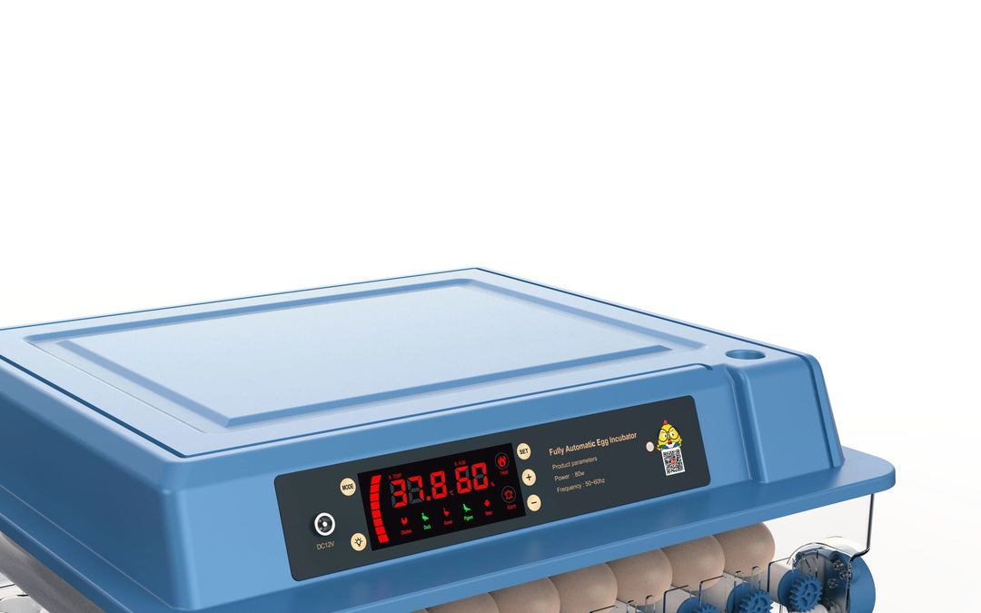 Overzicht van de HatchEase pluimvee broedmachine, een moderne oplossing voor het automatisch uitbroeden van eieren tot kuikens.