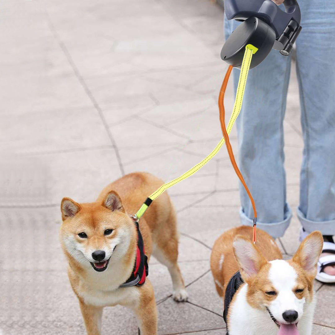 Twee honden die samen wandelen met de oprolbare riem