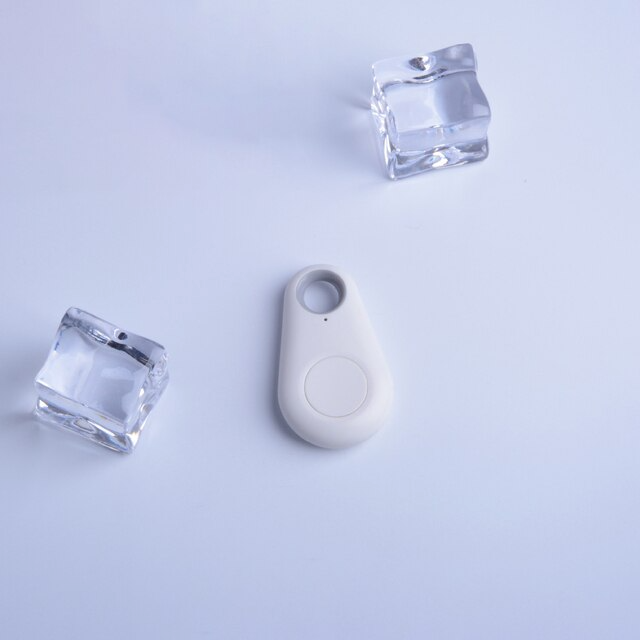 Lichtgewicht PawFinder GPS tracker, comfortabel voor hond en kat, inclusief realtime tracking.