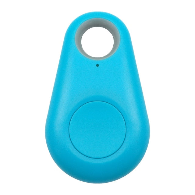 Kleine kat draagt PawFinder GPS tracker aan halsband, voor snelle tracking van zoekgeraakte katten.