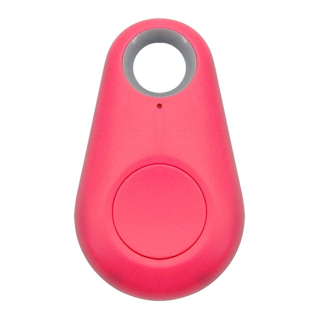 PawFinder waterdichte GPS tracker voor huisdieren, ideaal voor avontuurlijke honden en katten.