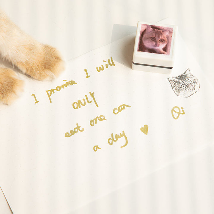 Collectie van gepersonaliseerde dierenstempels, diverse huisdieren, unieke cadeaus.