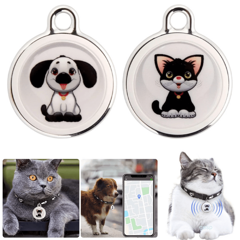 Hond draagt waterdichte GPS tracker aan halsband. Houd je hond veilig met deze bluetooth beveiliging.