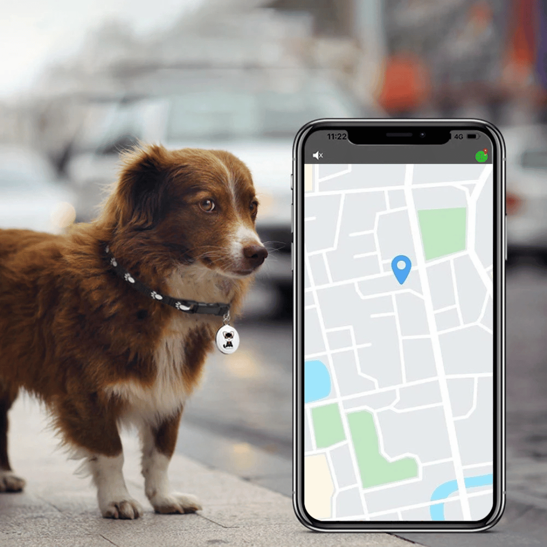 De robuuste, waterdichte huisdier GPS tracker. Ideaal voor avontuurlijke honden en katten.