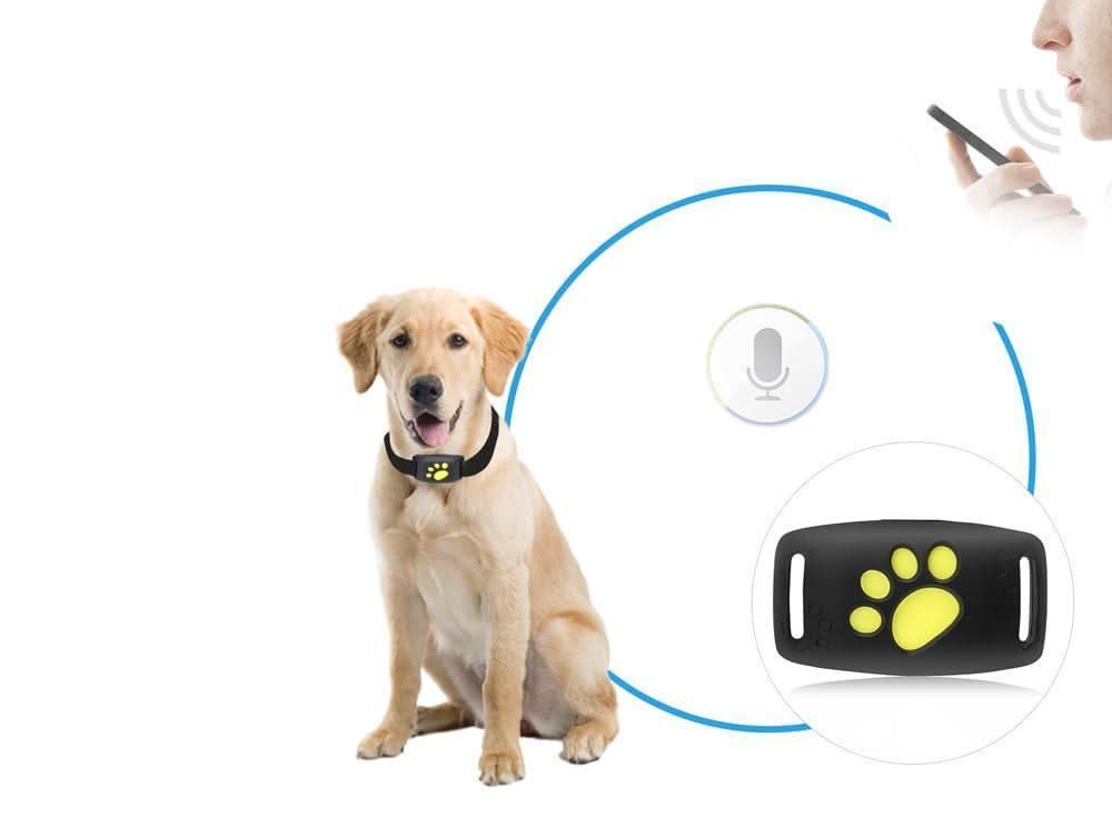 Smartphone toont app met real-time GPS locatie van kat, benadrukt abonnementvrije huisdierbeveiliging.