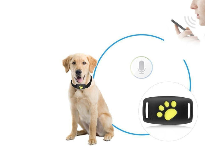 Smartphone toont app met real-time GPS locatie van kat, benadrukt abonnementvrije huisdierbeveiliging.