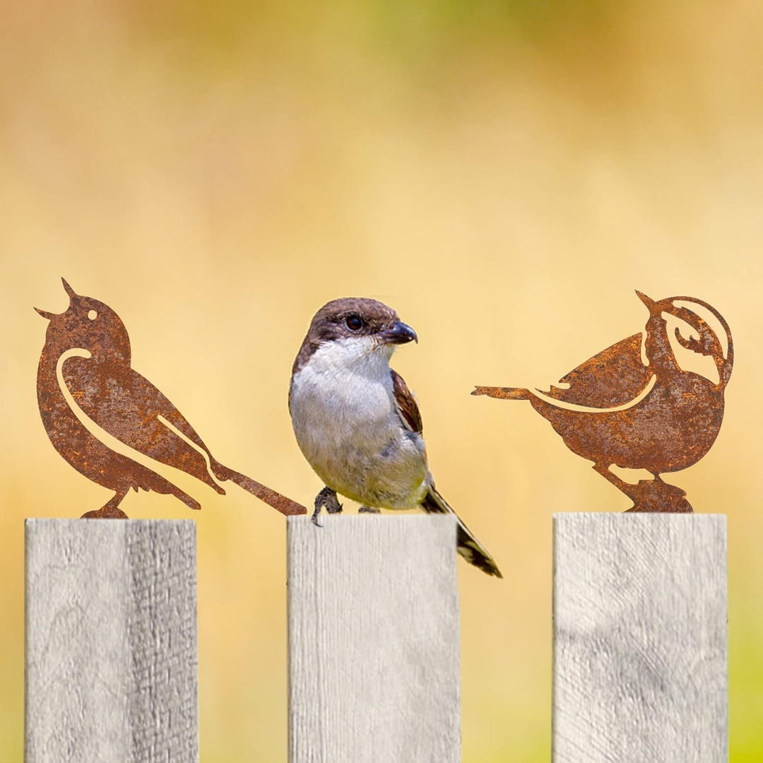 "Cortenstaal tuin vogelbeeld; roestkleur, duurzaam en weerbestendig voor elegante tuin decoratie."