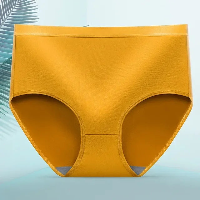 Dagelijks draagbare anti-lek dames slip, comfortabel en betrouwbaar voor actieve vrouwen.