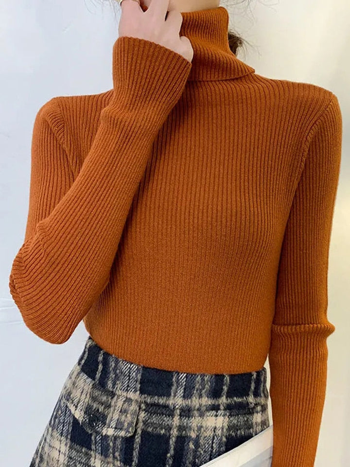 Warme dames trui met hoge col. Ideale winterkleding voor een behaaglijk gevoel en een modieuze uitstraling.