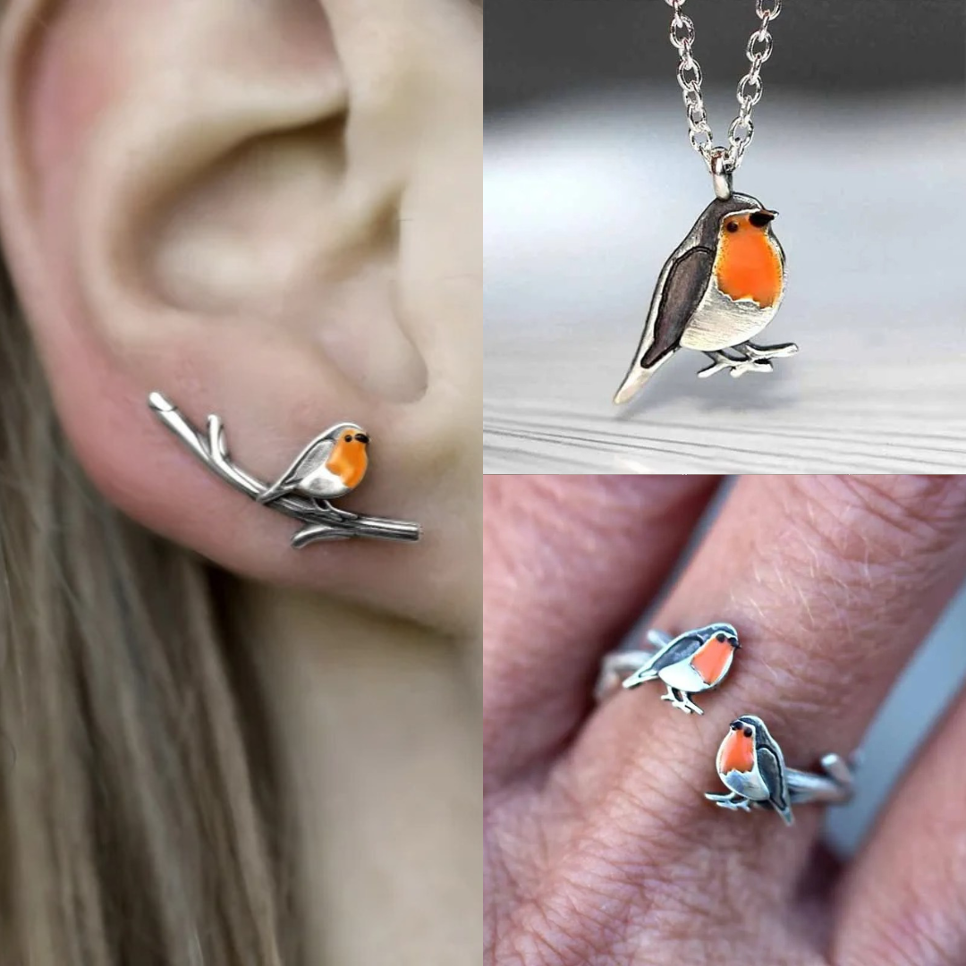 Stijlvolle dames sieradenset met geluksvogel roodborstje, inclusief ketting en oorbellen, symbool van hoop.
