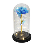 zwart basis blauw 3