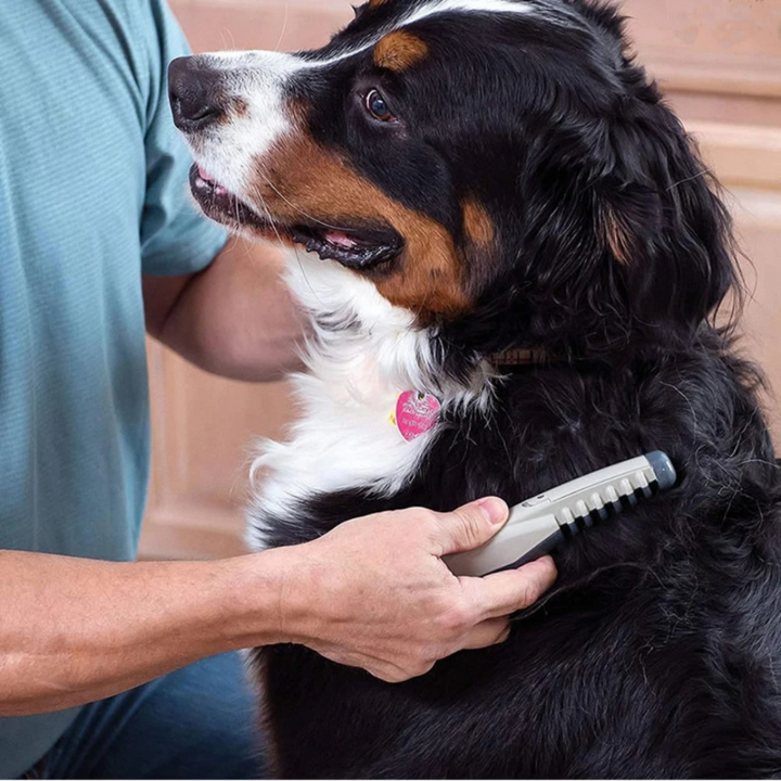 Zachte ontklitter & vachtborstel voor huisdieren. Ideaal voor katten en honden vachtverzorging.