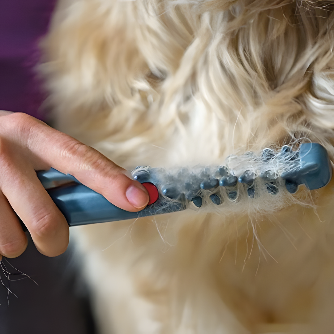 Professionele huisdierkam & trimmer voor vachtverzorging. Zorgt voor een klittenvrije, gezonde katten- en hondenvacht.