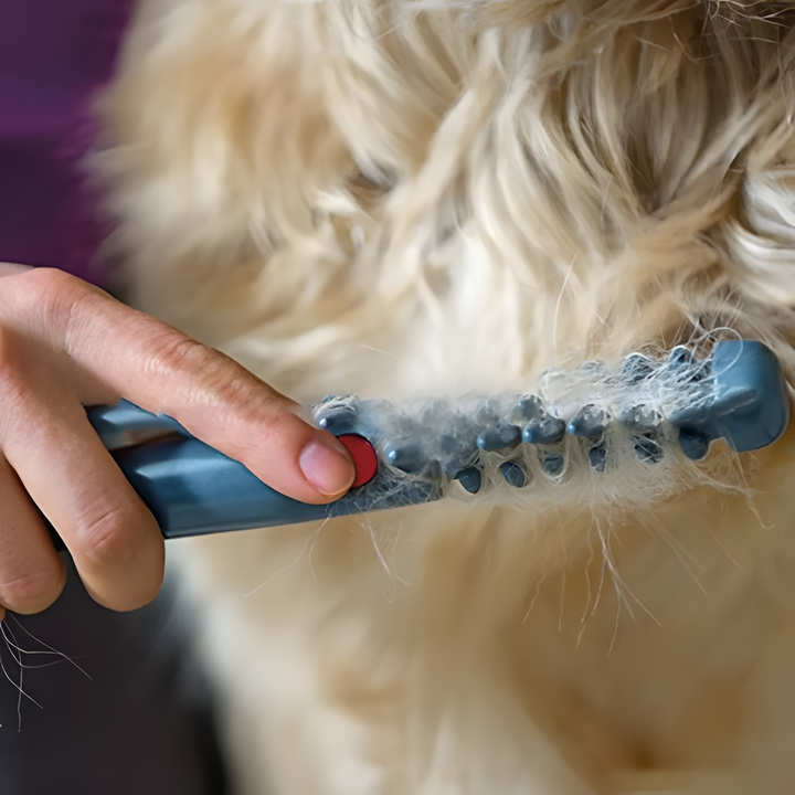 Professionele huisdierkam & trimmer voor vachtverzorging. Zorgt voor een klittenvrije, gezonde katten- en hondenvacht.