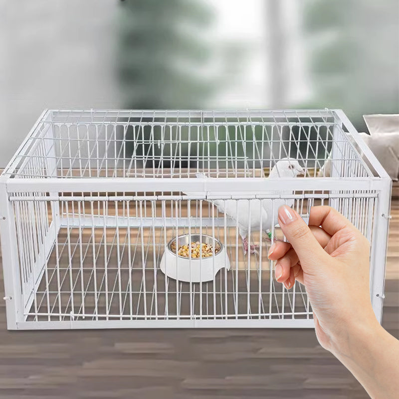 Diervriendelijke vogelval met terugslagbeveiliging voor effectieve plaagdierbeheersing in tuin en schuur.