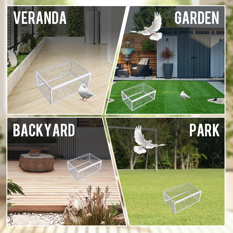 Diervriendelijke vogelval, duurzaam metaal, met terugslagbeveiliging; ideaal voor tuin, schuur en landbouw.
