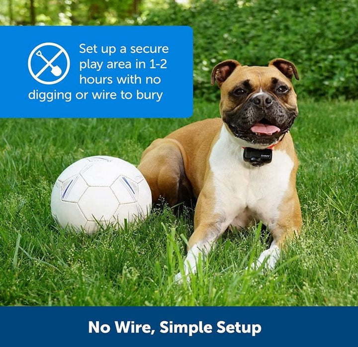 Oplaadbare, waterdichte halsband voor draadloos hondenhek systeem; essentieel voor huisdier veiligheid en afbakening.