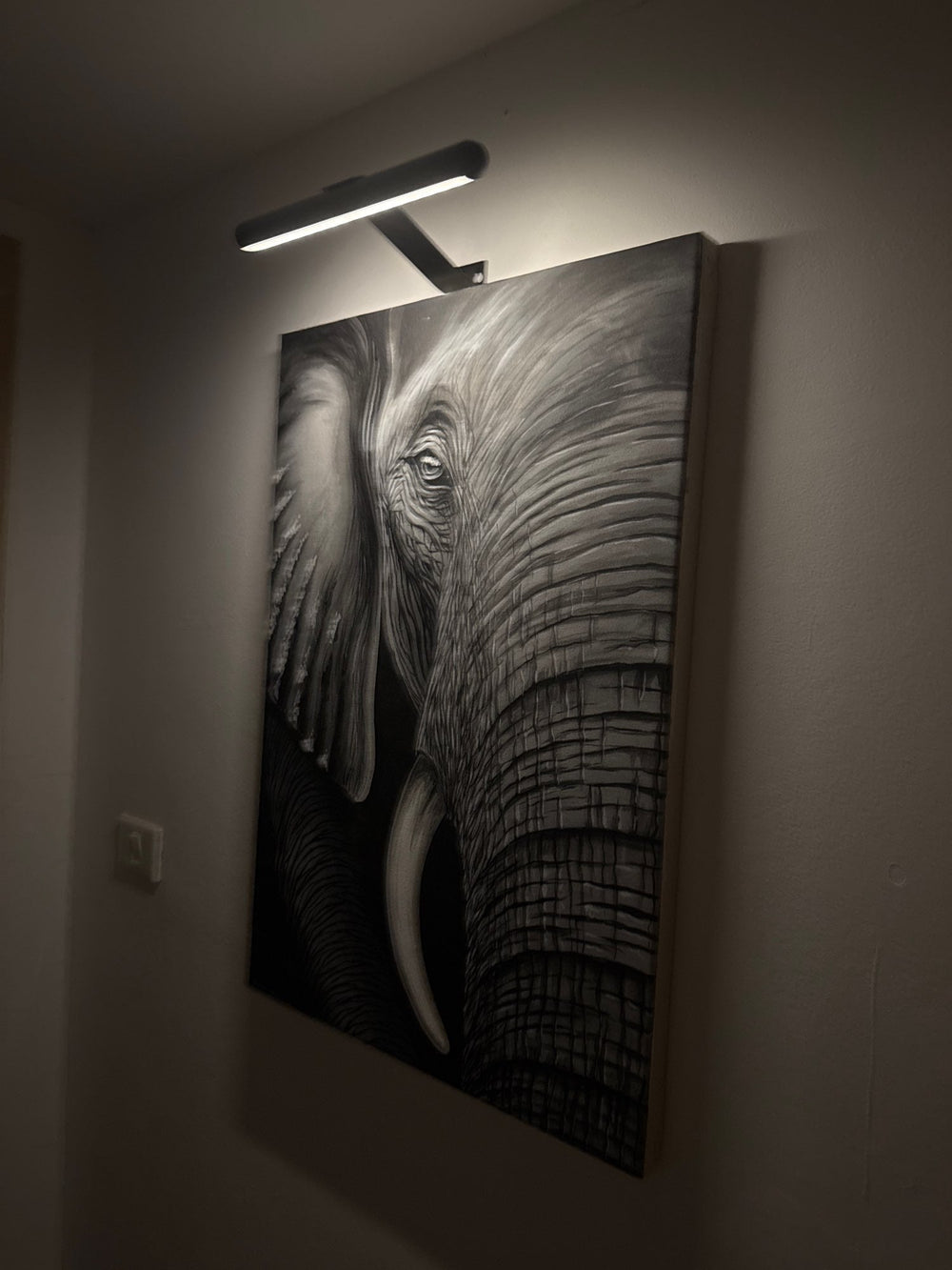 Eenvoudig te monteren draadloze LED wandlamp voor kunst; oplaadbaar via USB, geen snoeren, flexibel.