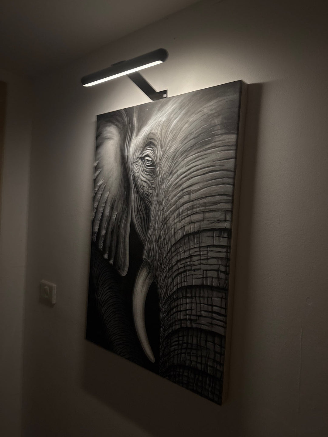 Eenvoudig te monteren draadloze LED wandlamp voor kunst; oplaadbaar via USB, geen snoeren, flexibel.
