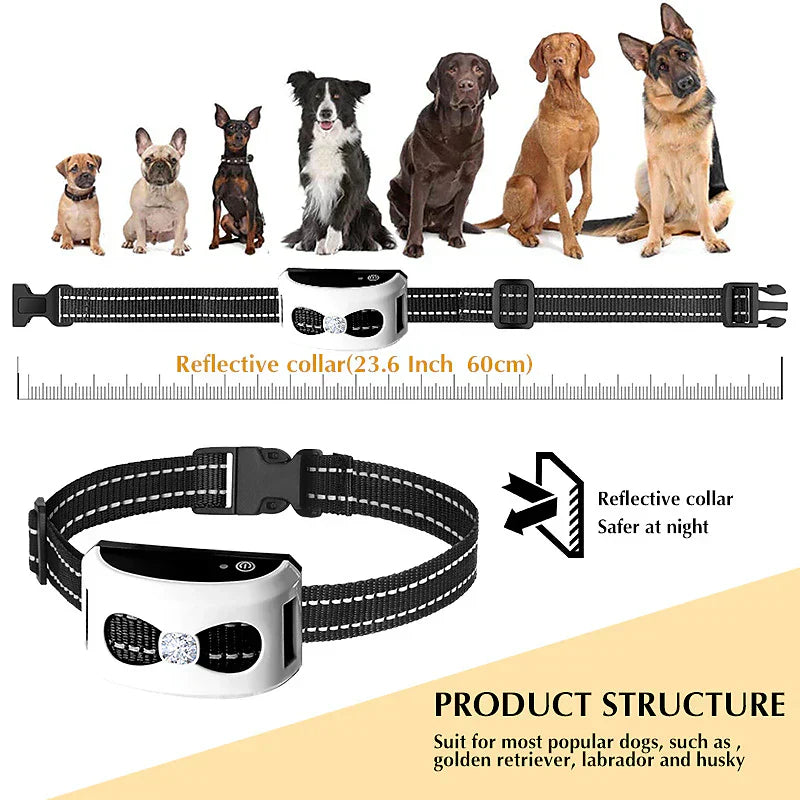 Complete trainingsset met draadloze omheining en trainingshalsband, ideaal voor gedragscontrole en hondenveiligheid.