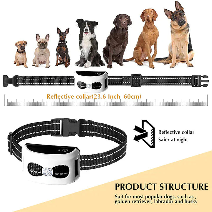 Complete trainingsset met draadloze omheining en trainingshalsband, ideaal voor gedragscontrole en hondenveiligheid.
