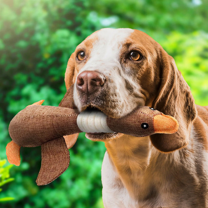 "Duurzaam hondenspeeltje, blauw en bruin, kauwbestendig en veilig, geschikt voor alle hondenrassen."