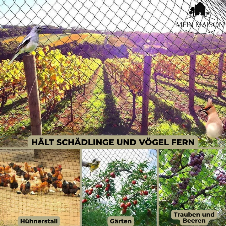 Tuinnet over een verhoogde moestuinbak, effectieve wildwering en vogelnet voor gezonde groenten.