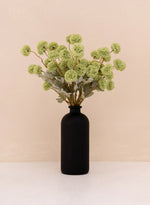 Grasgroen